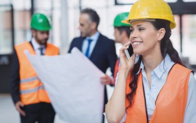 Consultoría de Seguridad: Un Pilar Fundamental en la Protección de Empresas y Organizaciones